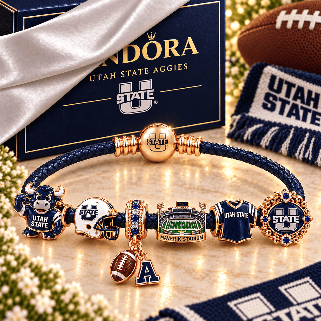 USAG Braided Leather Charm Bracelet Set NHVH
